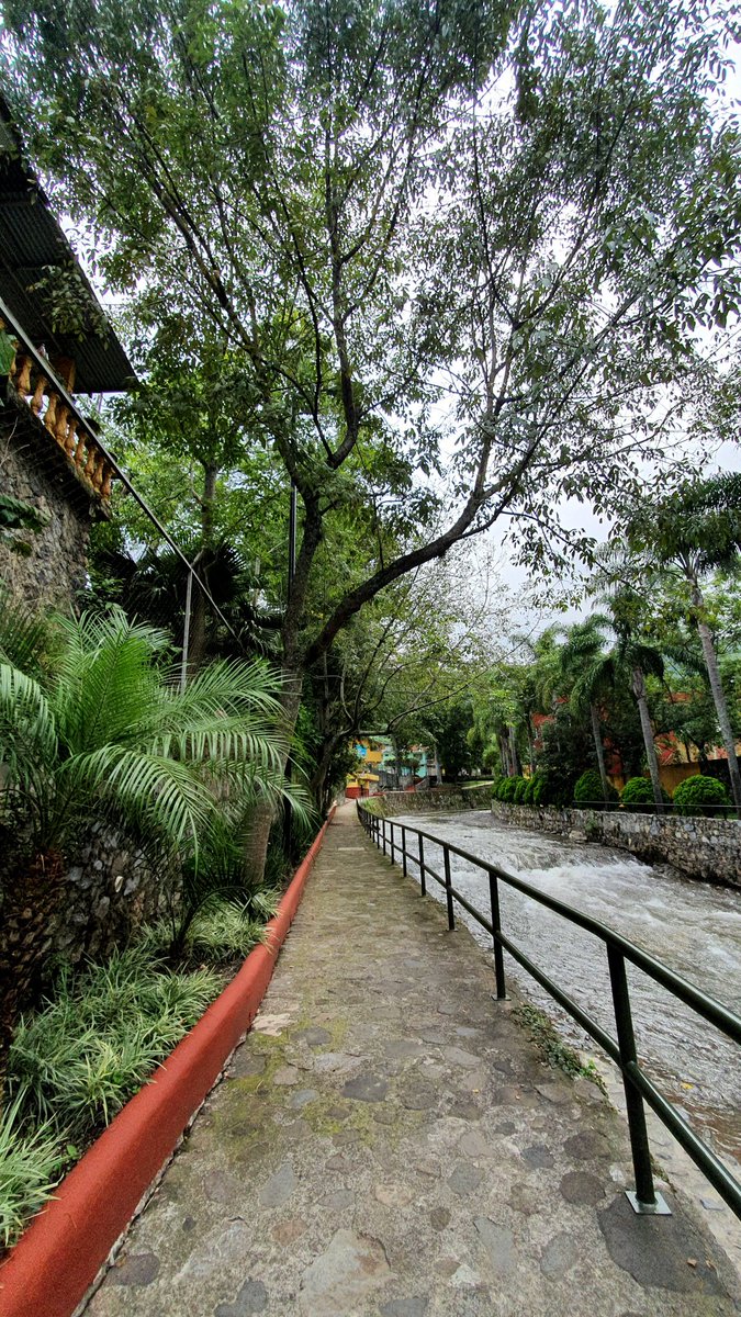 OrizabaProyecto's tweet photo. Excelente tarde de domingo desde Orizaba, Pueblo Mágico. 
.
.
#Orizaba #OrizabaPuebloMágico #OrizabaProyectos #SonríeOrizaba #MexicoDesconocido #MiBarrioCentro https://t.co/PQjyEDL5JZ