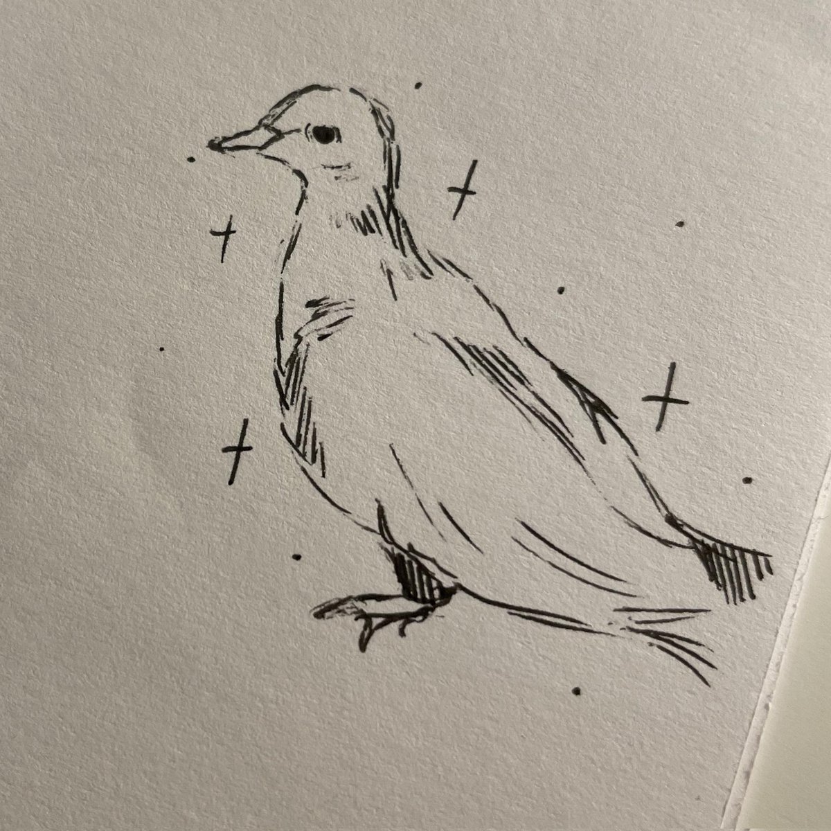 JoeIProductions's tweet image. I'm starting to miss my little partner,