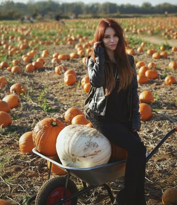Pumpkin szn 🍂🎃 https://t.co/VV0MuIJCgx