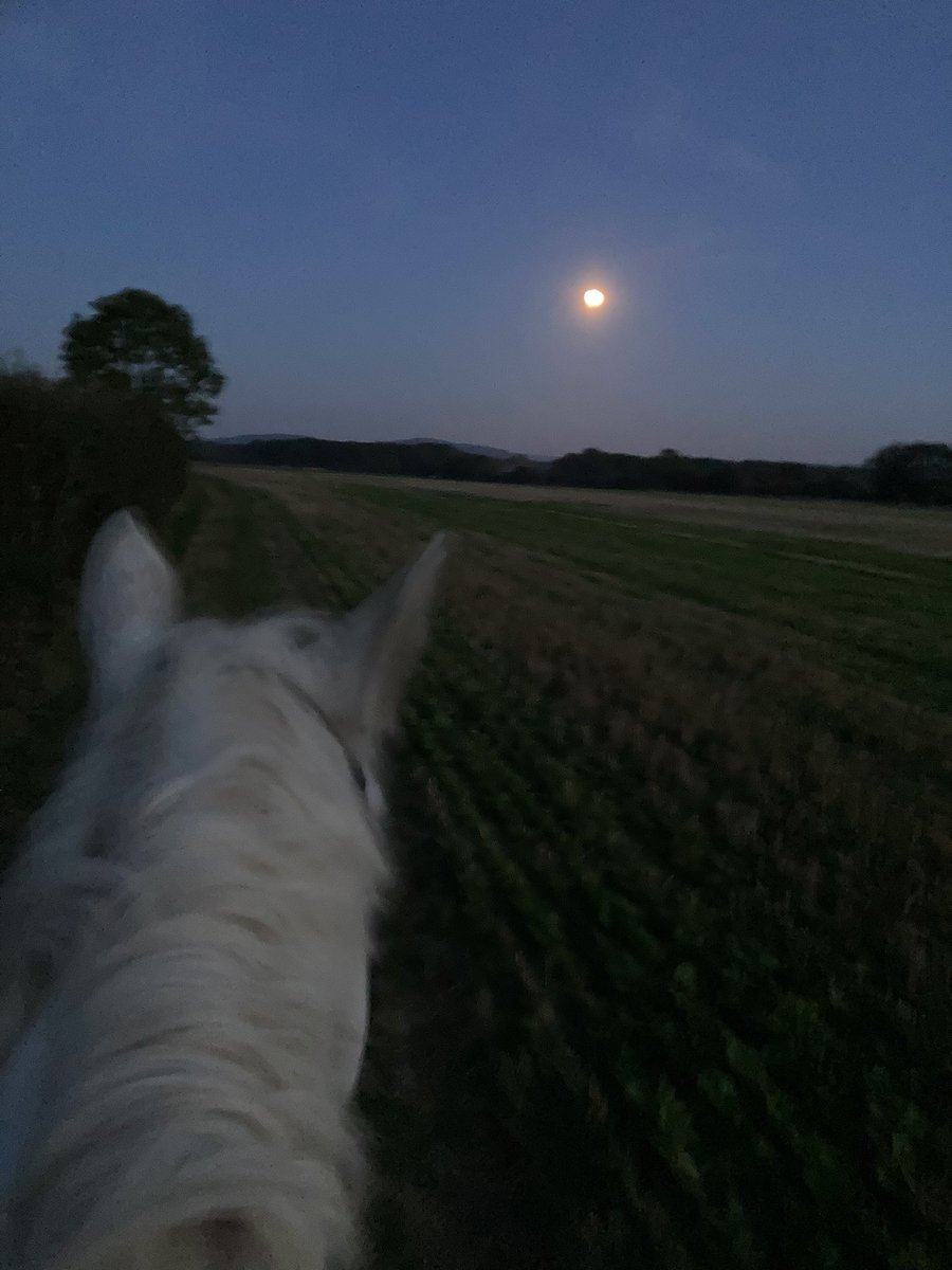 No1EstateBoss's tweet photo. @TheHillsCountry The evening light was stunning, until there wasn’t any!! #whoops #nicemoon https://t.co/EzdbrlXMjd