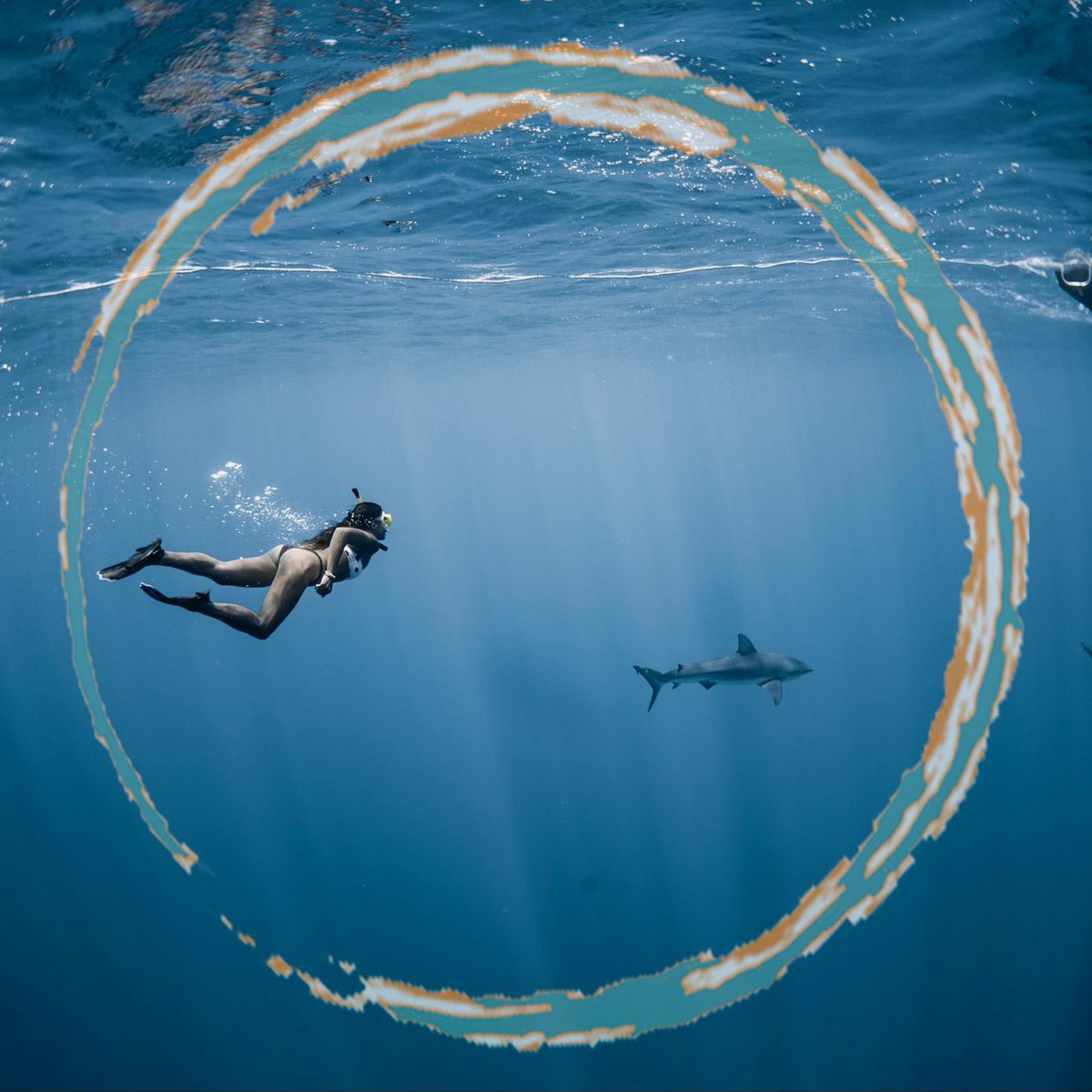 _oncruzcontrol's tweet photo. New post on the blog! Diving into Fears. Link in bio or click https://t.co/Hyy9vNRme4 #oncruzcontrol https://t.co/uWQ2sySBgp