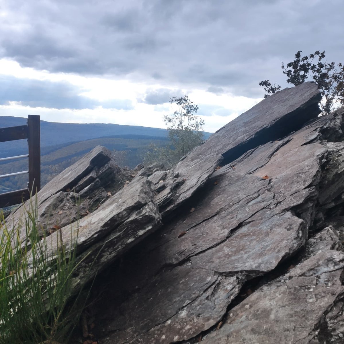 Céline Famelart-Gohier tweet media