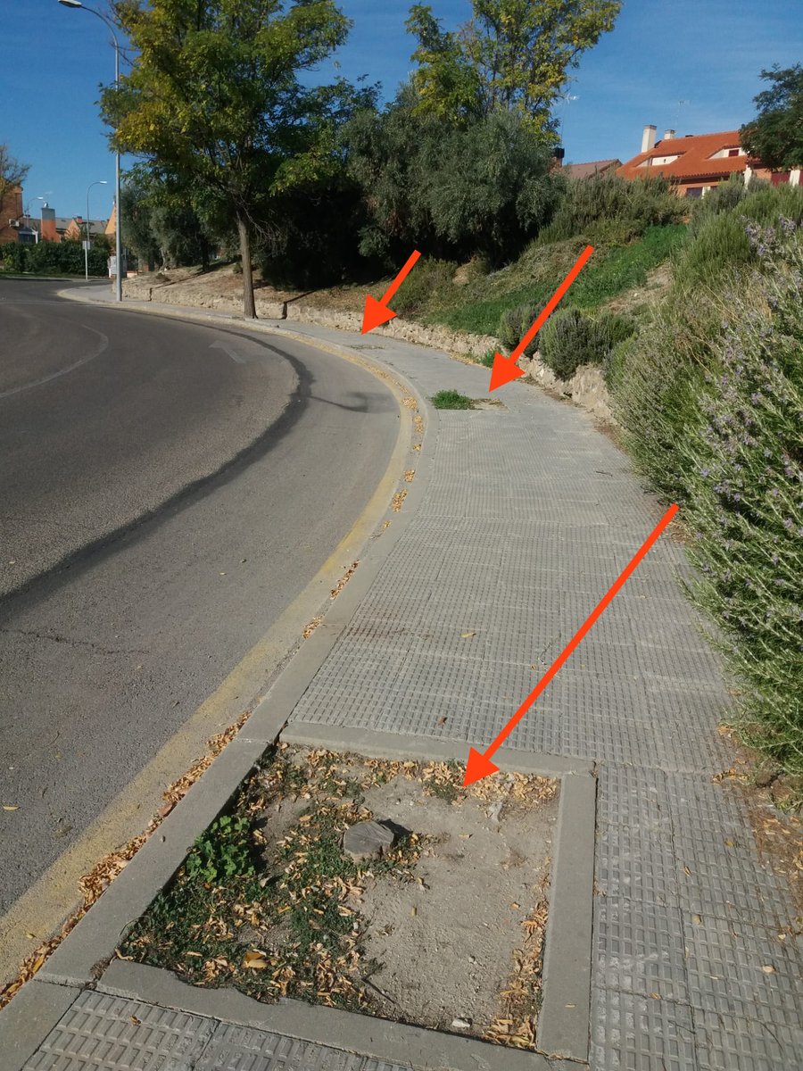 ivanbalear's tweet photo. Igual comentario puse al @ppvaldemoro hace pocos días. 

Me parece estupendo que os reunias entre vosotros pero es información para afiliados del @PSOEValdemoro 

¿ En que me afecta a mi como vecino de #Valdemoro ? 

¿ Qué habéis hablado de arreglar mi parque ? https://t.co/Vo3NLcbqty