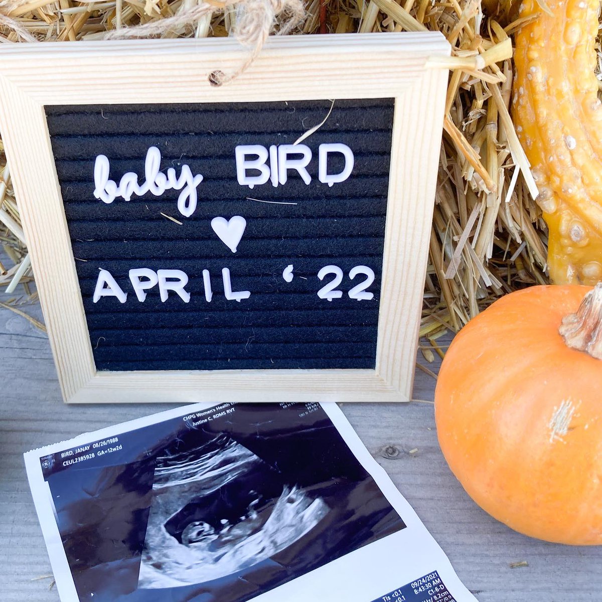 Brandon Bird 🦬🐦 tweet media