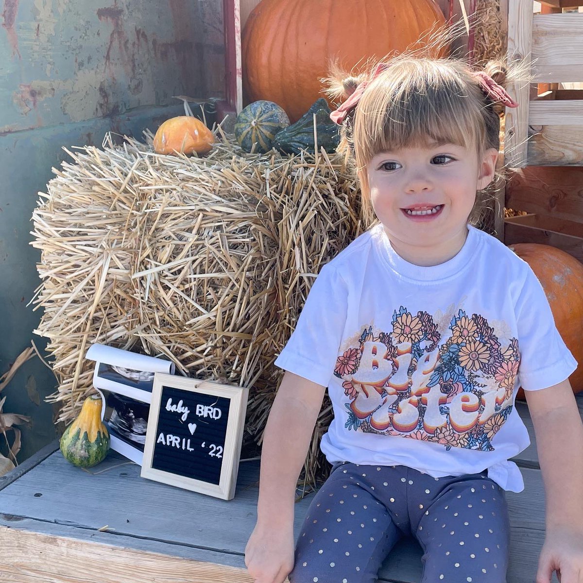 Brandon Bird 🦬🐦 tweet media