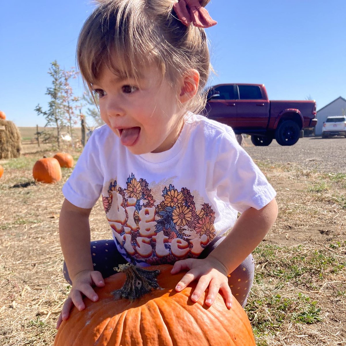 Brandon Bird 🦬🐦 tweet media