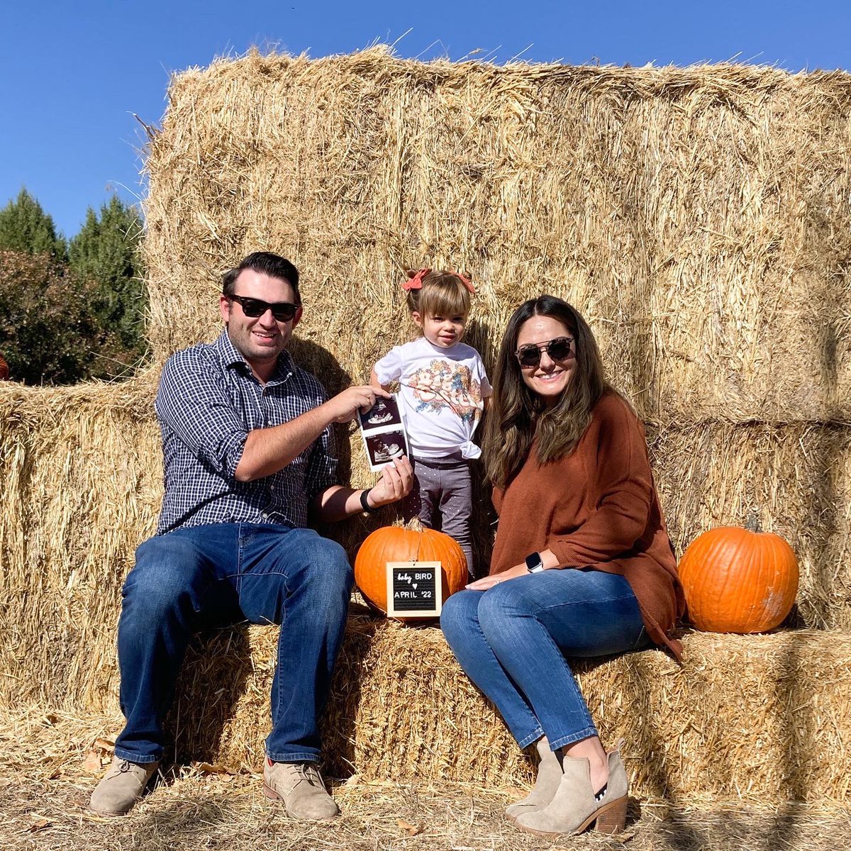 Brandon Bird 🦬🐦 tweet media