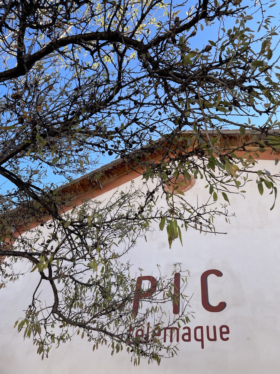 PlowmanMusic's tweet photo. Sorry to be saying au revoir to Marseille tomorrow. Thanks so much to Raoul Lay and Ensemble Télémaque for the brilliant music, the bad jokes, amazing food and blue skies☀️ https://t.co/BCoYlwU665