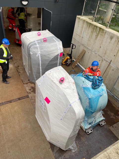 Daisy Appeal tweet media