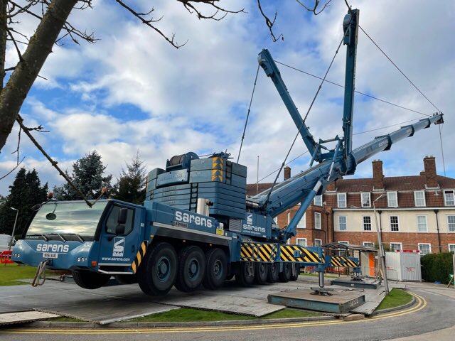 Daisy Appeal tweet media