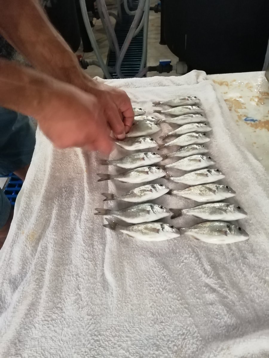 SIMTAP Project tweet media