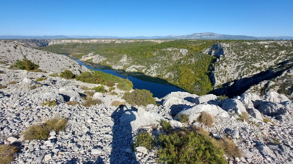 pierfilippo tweet media