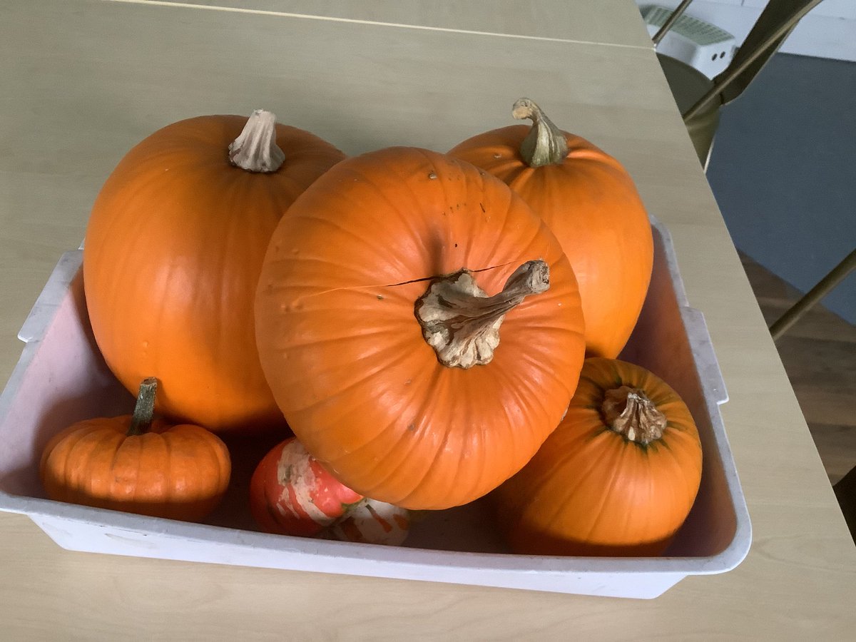 Outdoor Learning tweet media