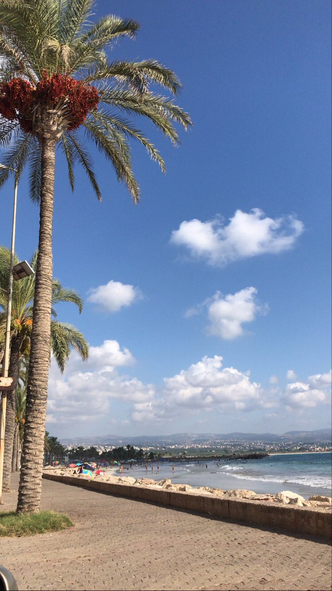 Zeinallama's tweet photo. الجنوب photo dump https://t.co/IUsIM91nN9