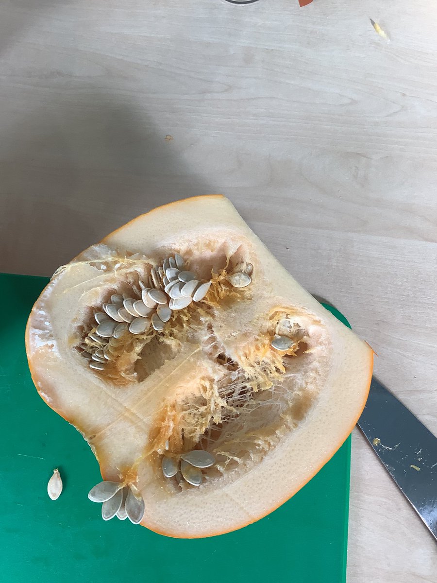 Outdoor Learning tweet media