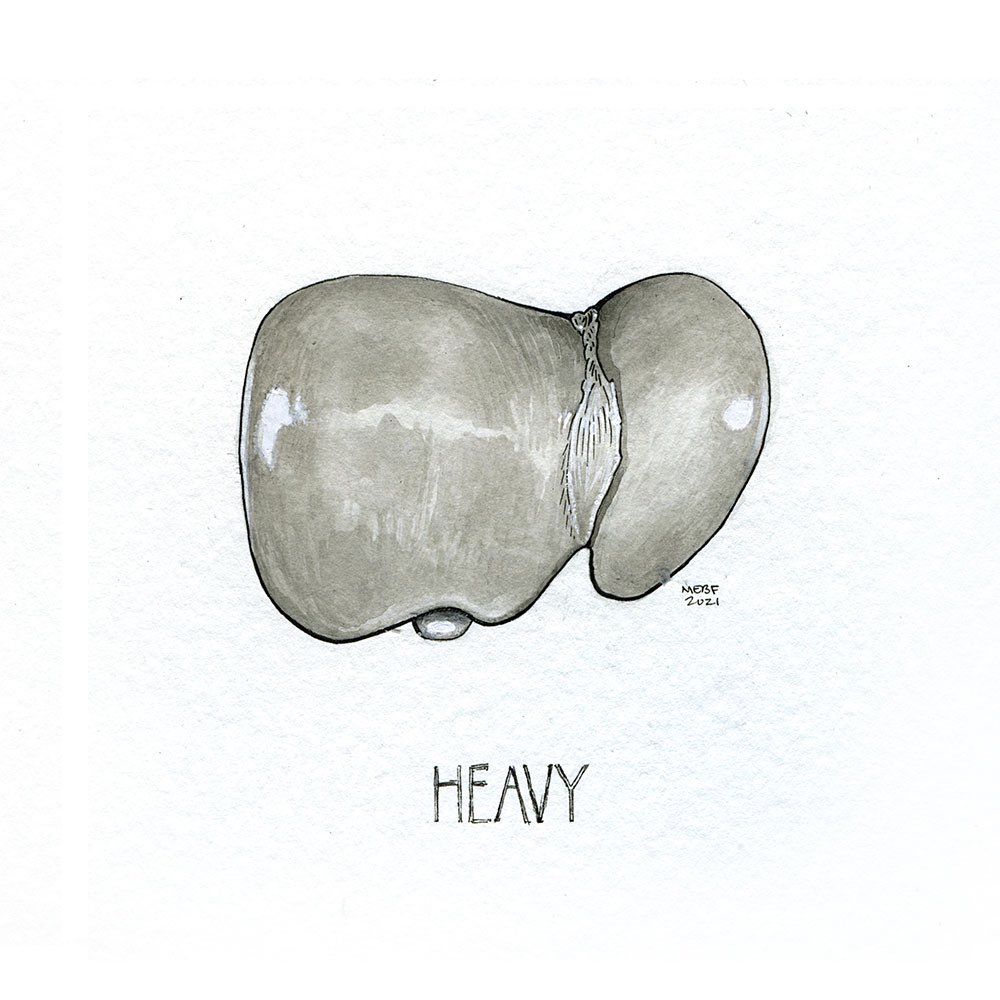 #sciartoberday12 coming atcha w/ “heavy”. The liver’s the heaviest solid organ in the human body @ ~3.5 lbs (1520g; median). Look it that wee gall bladder peaking 🙂🥰
#art #drawing #makeart2021 #mywork #ink #sciart #medart #sciartober #liver #anatomicalart #anatomy #anatomyfacts