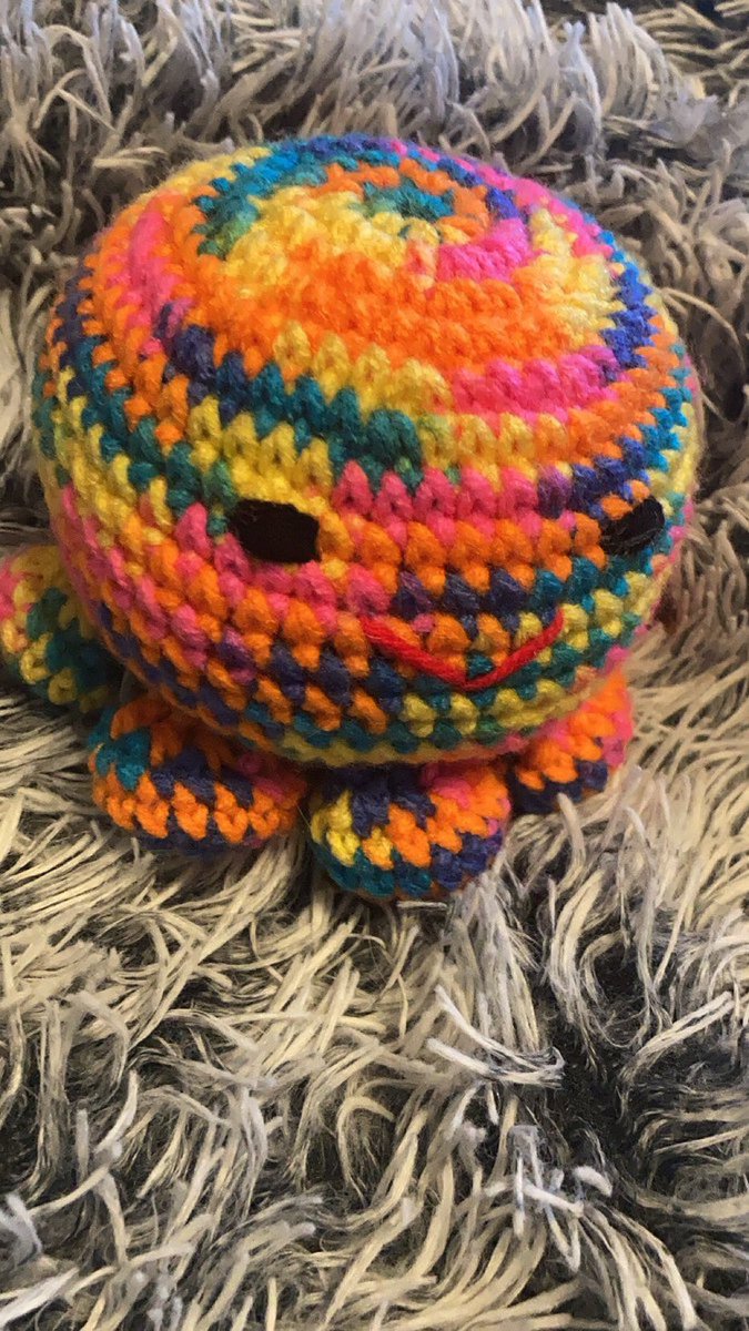 phoraalt's tweet photo. hey guys this is phora the octopus. everyone say hi to him https://t.co/dOgQxEswuv