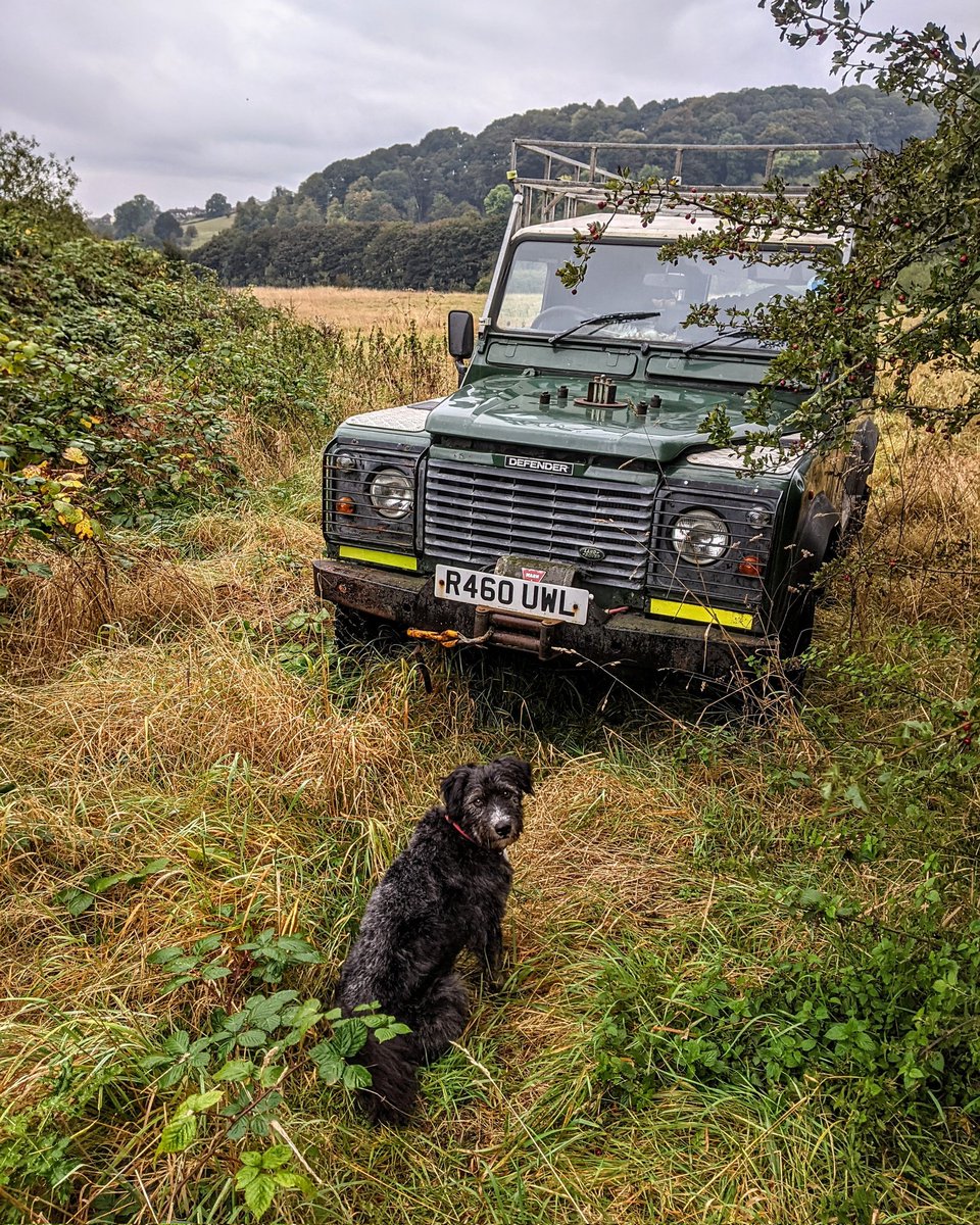 Mightychub's tweet photo. #Landydog #Trailmaster when are you putting the wheel back on the bonnet? #Landylife  #Outspiration #Defender110 https://t.co/hyQRy4cGfr