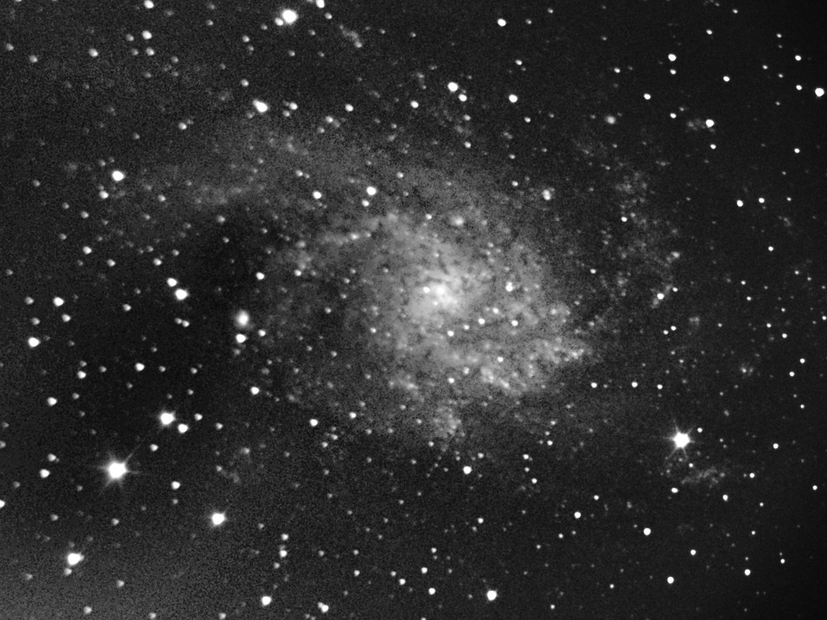 M.Gallegos tweet media