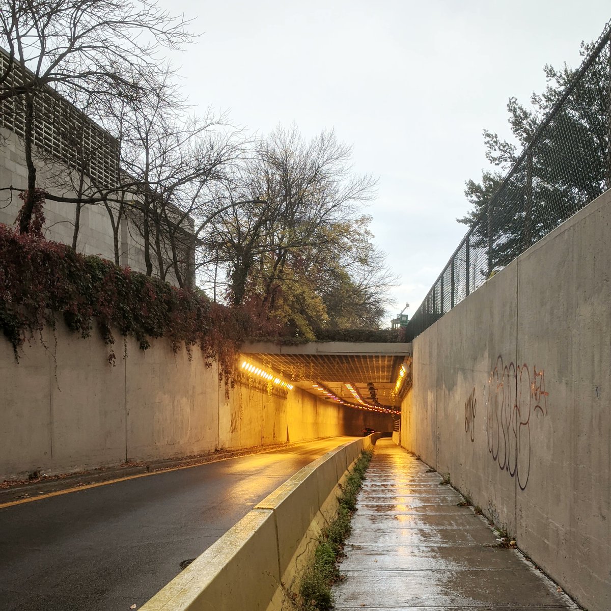 Shanny Foo tweet media