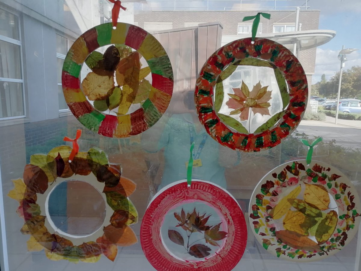 Springview OT Team tweet media