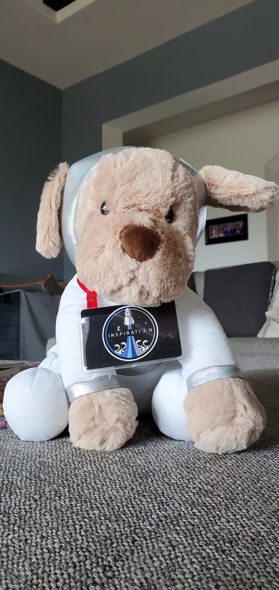 JohnEG78's tweet photo. He took one helluva trip, but he made it!  @StJude @inspiration4x @rookisaacman @DrSianProctor @ArceneauxHayley @ChrisSembroski #ZeroGravityIndicator #ShippingIsHard https://t.co/k9iDIhGBAI