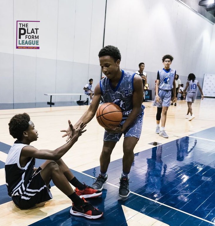 The Platform Leagues tweet media