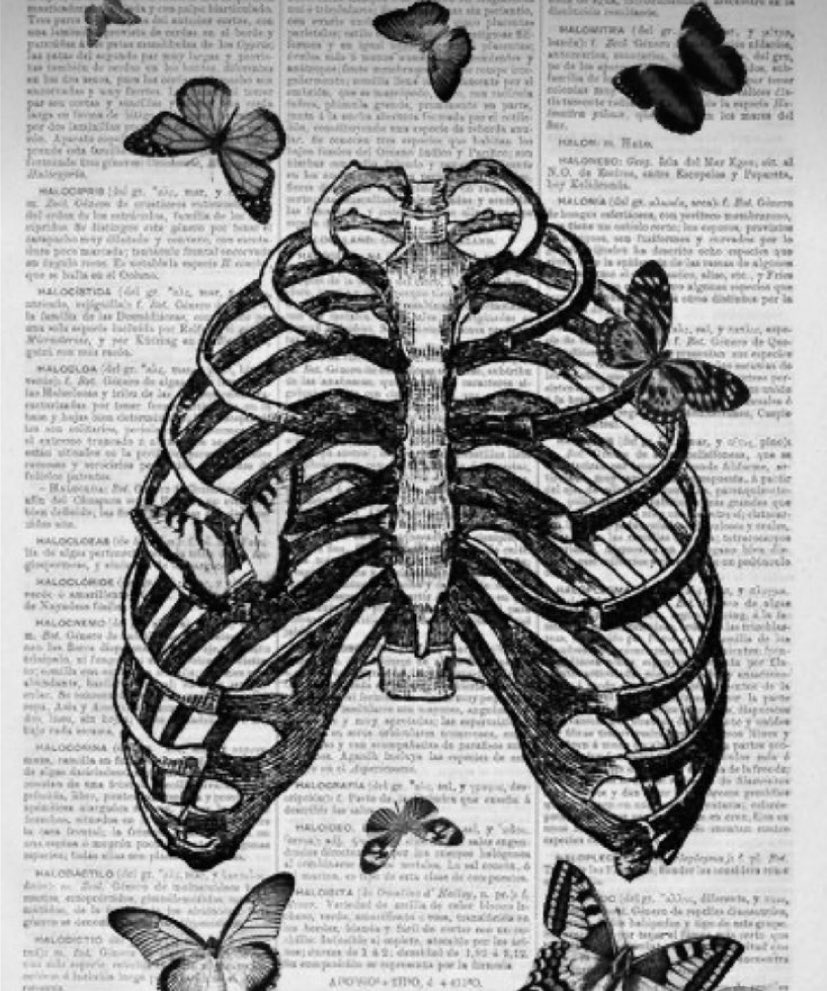 srffad's tweet image. 🤍