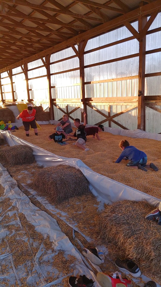 MMESVikings's tweet photo. MMES Fall Festival at Richdale Farms was a huge success! Staff, students, and families had a wonderful time.
Thank you Crowgey family and Richdale Farms for hosting!
#WCPSSuccess https://t.co/rzbi8QiGmx