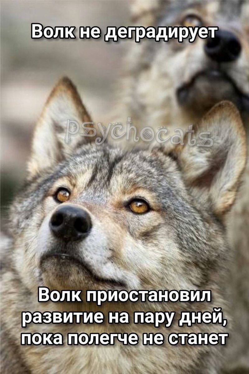муд