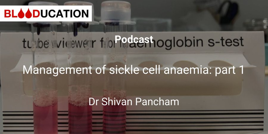 blooducation's tweet photo. Our latest podcast where we discuss current issues in sickle cell anaemia is live! Check it out here, or on your usual podcast platform 👌
#blooducation #FOAMed 

https://t.co/qigiBGq52B https://t.co/KjVh3eglts