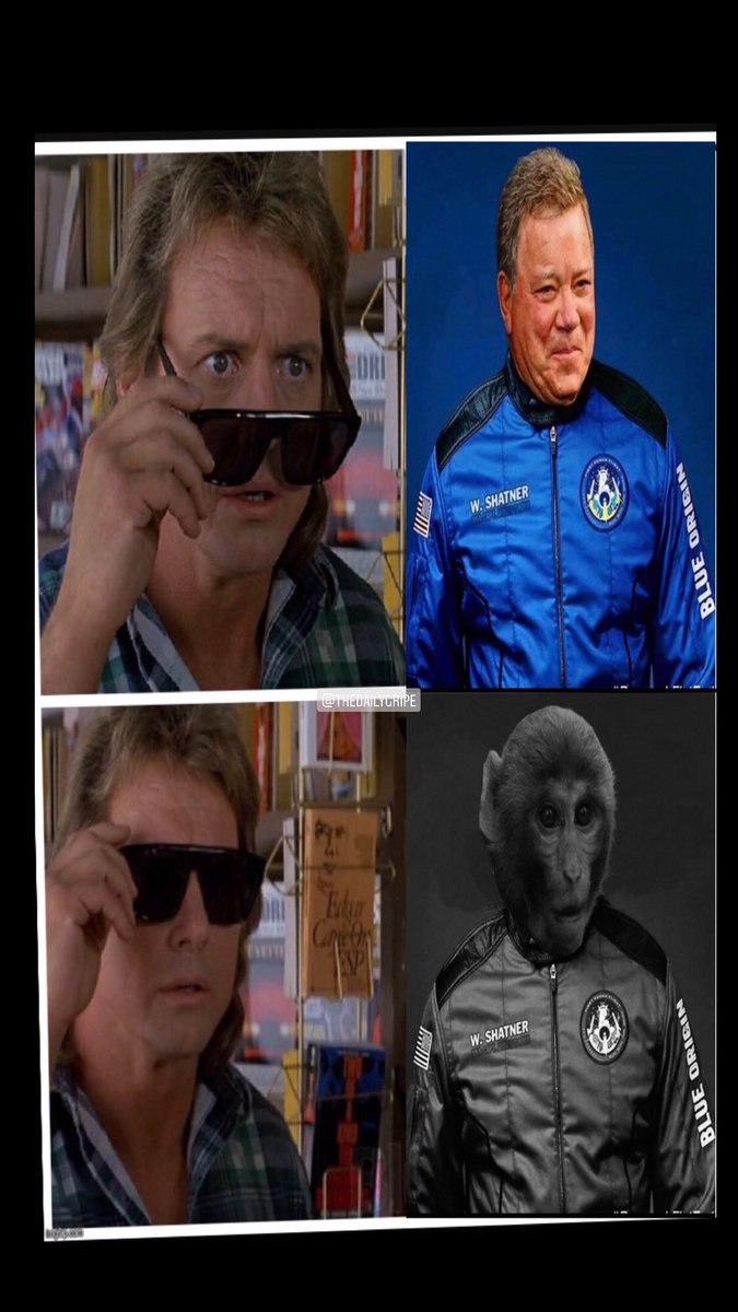 DailyGripeMemes's tweet photo. @TimeTravelAnon #trainedmonkeys #illusionofspace https://t.co/g8HGDwjoyL