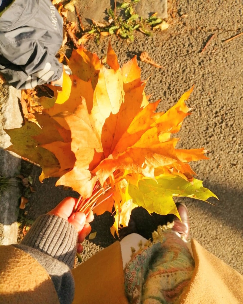 Cozebisu's tweet photo. 秋はあっという間に過ぎ去り、あとは暗くて長い冬の支度をするばかり。

#autumn #fall #norway #oslo #weekend #scandinavia #🇳🇴 #ノルウェー #オスロ #秋 #photooftheday https://t.co/K3vXQu8mgU