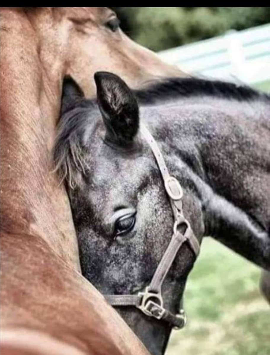 Nane limonun iyi gelmediği daha büyük sıkıntılarım var. 
Herkes gibi,
benim de...