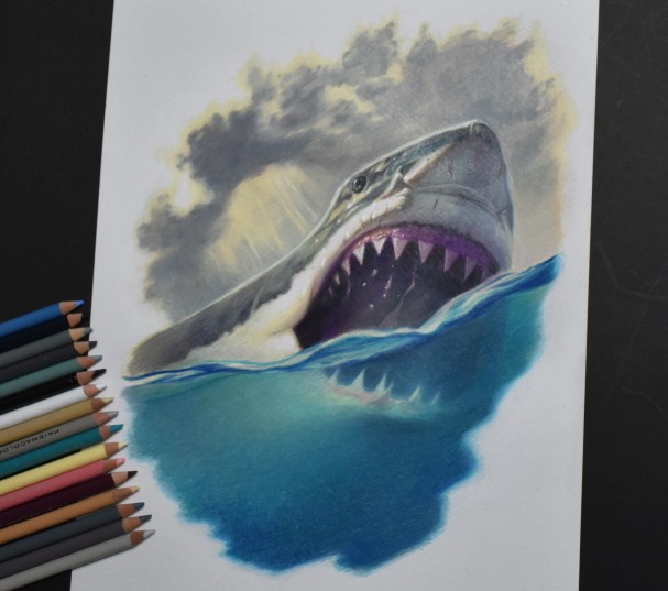 ホホジロザメ のイラスト マンガ作品 13 件 Twoucan