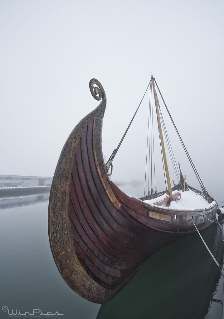 живые корабли робин хобб. робин хобб корабль судьбы арты. драккар левиафан. робин хобб сага о живых кораблях. корабль сага.