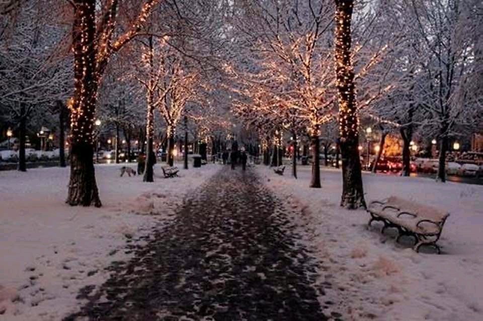 Who 's ready for Christmas season ?