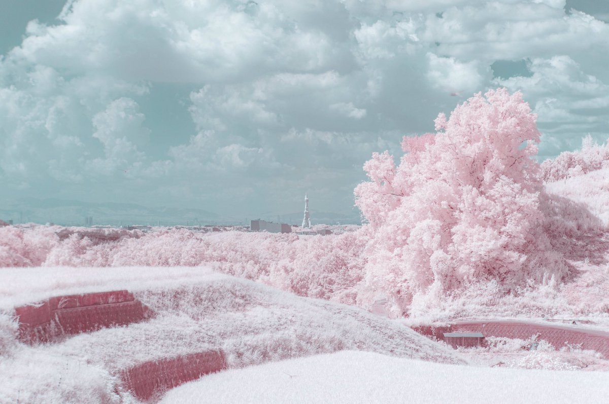 mikiowatanabe6's tweet photo. Infrared photography https://t.co/SlZQWv1oRW