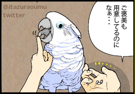 オウムのバンザイ芸 