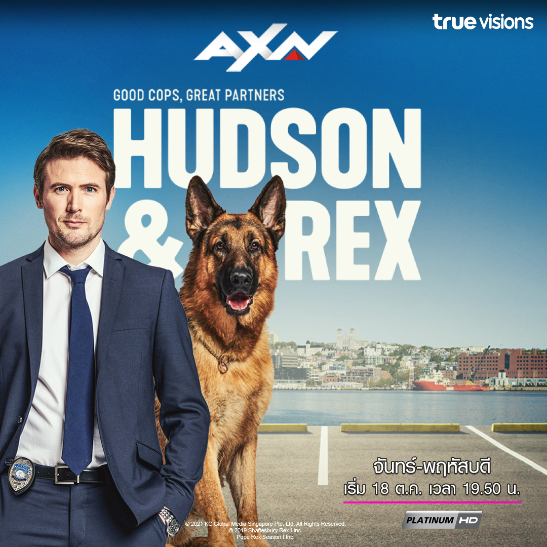 TrueVisions's tweet photo. พบกับการทำงานของตำรวจหนุ่มชั้นดีและคู่ซี้สี่ขาได้ในซีรีส์ HUDSON &amp; REX

ติดตาม HUDSON &amp; REX
ทุกวันจันทร์ถึงพฤหัสบดี เวลา 19.50 น. ทางช่อง AXN [144,336]

#TrueVisions #Entertainment #AXNHudsonAndRex #AXN https://t.co/FioCmpuRha
