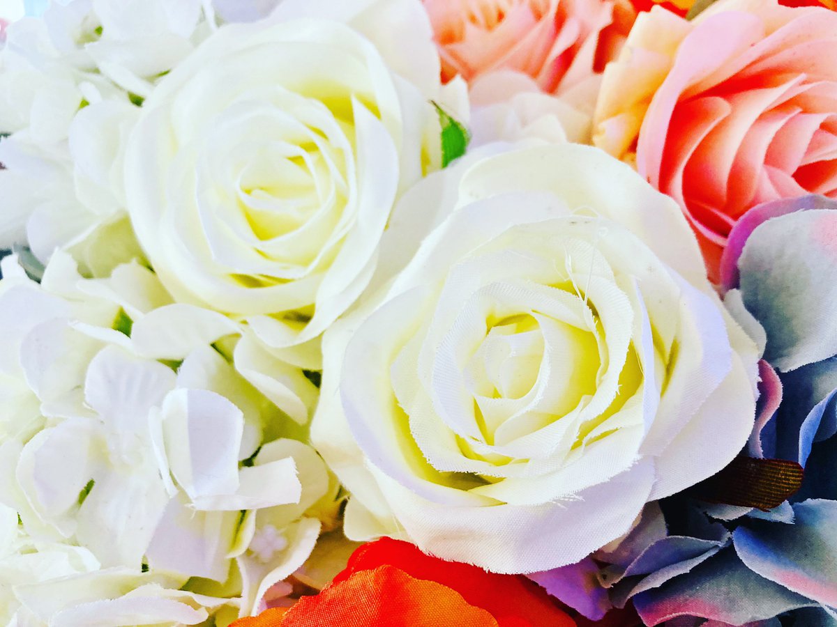 Congratulations to Brittany &amp; Tony 🌸❤️ You are blessed with heart-warming family and friends and it was a pleasure hosting your wedding!

georgiapalmsandgardens.com

#wedding #weddingdress #weddingphotography #weddinginspiration #weddingday #engaged #engagement #engagementphotos