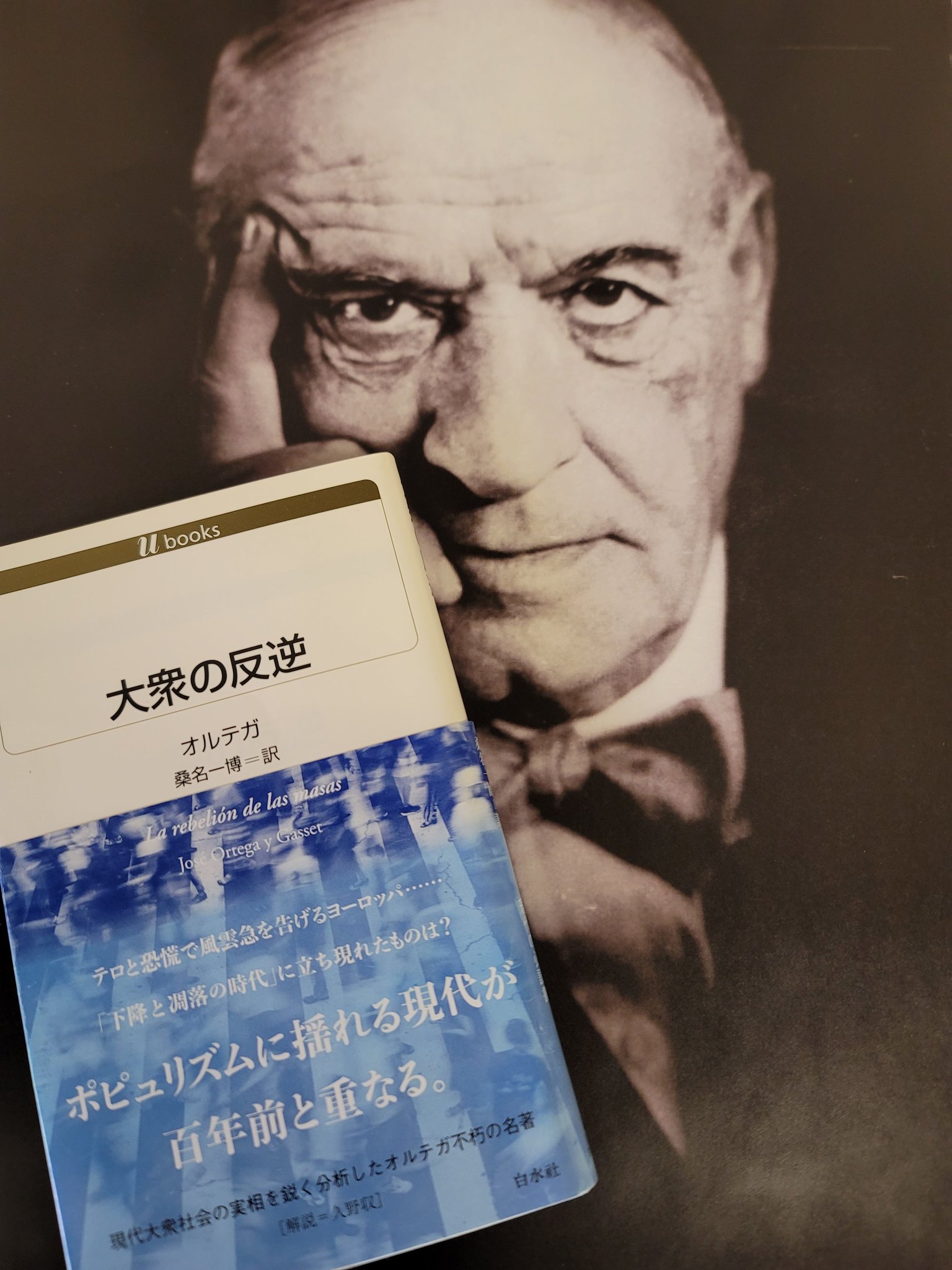 白水社 on X: 