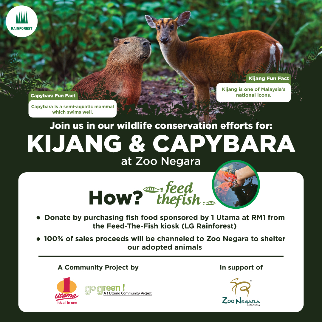 FB88 - Bí Mật Sân Chơi Cá Cược Đỉnh Cao Cho Dân Chuyên Nghiệp