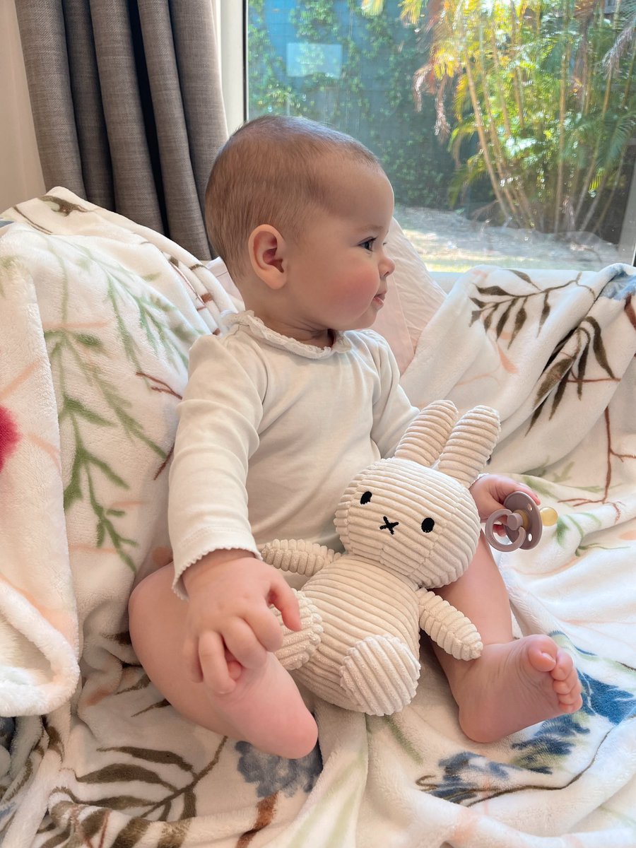 BindiIrwin's tweet image. Our angel and sunshine every day. Always poking her tongue out when I get the camera to take her photo. 
Grace Warrior, I love you beyond description. 💛