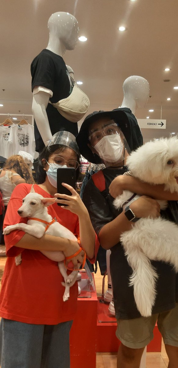 dannasssi's tweet photo. 🐶 https://t.co/oMj5SJ4YX7