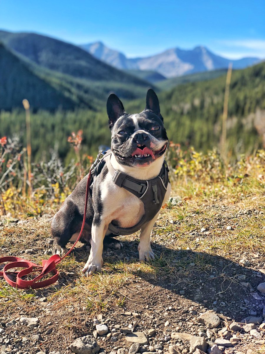福利姬Wendy分享的黄推图片3 - 网红私拍内容