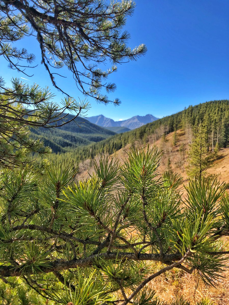 福利姬Wendy分享的黄推图片2 - 网红私拍内容