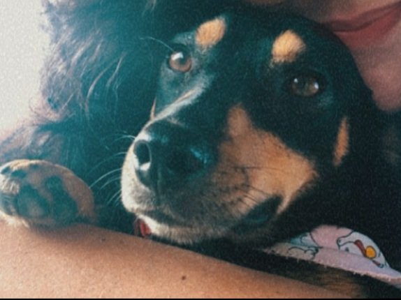 Camsprado's tweet photo. essas três ❤ https://t.co/4e2Ry89wPc