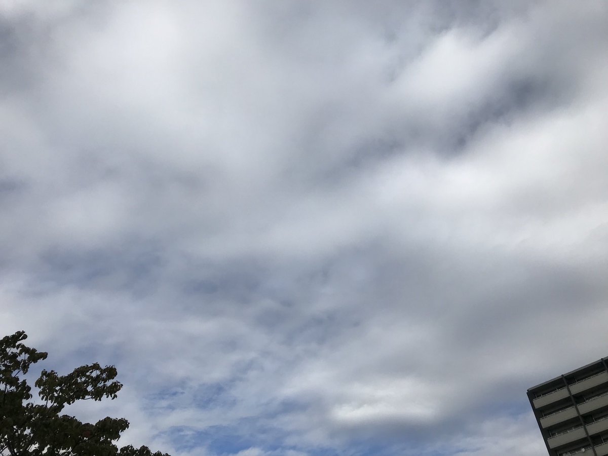 おはようございます。今朝の名古屋は急に寒くなりました。ヤスイ質店、今日も元気に営業してます！
yasui78.com