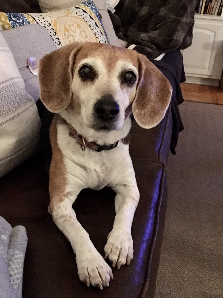 sandy memmo tweet media